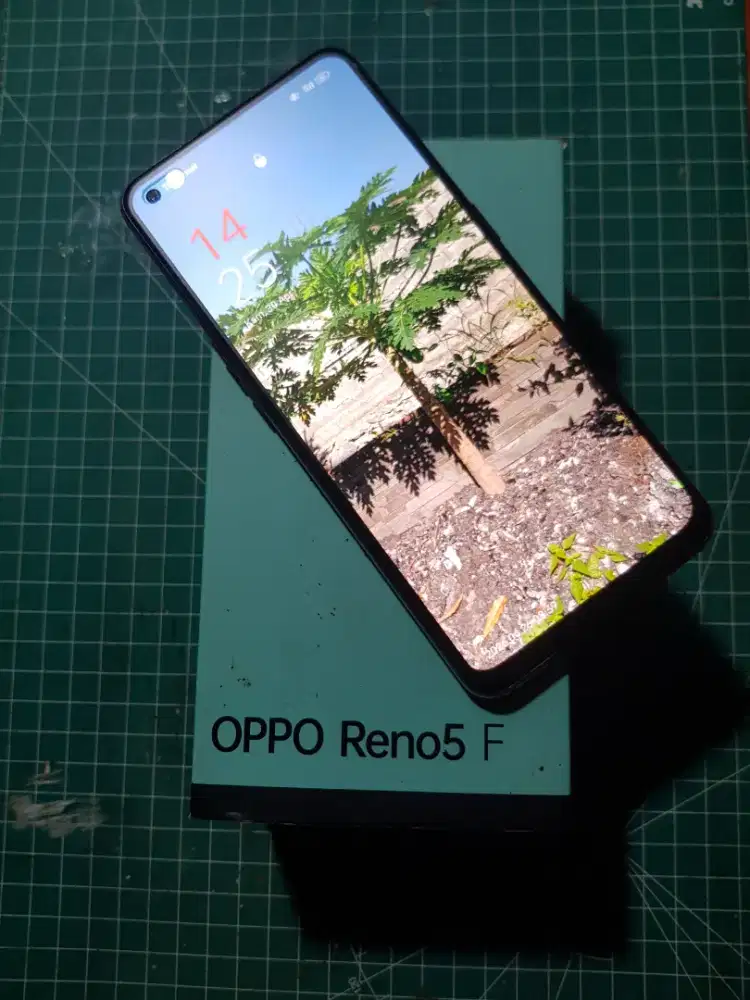 Oppo Reno 5F 8/128