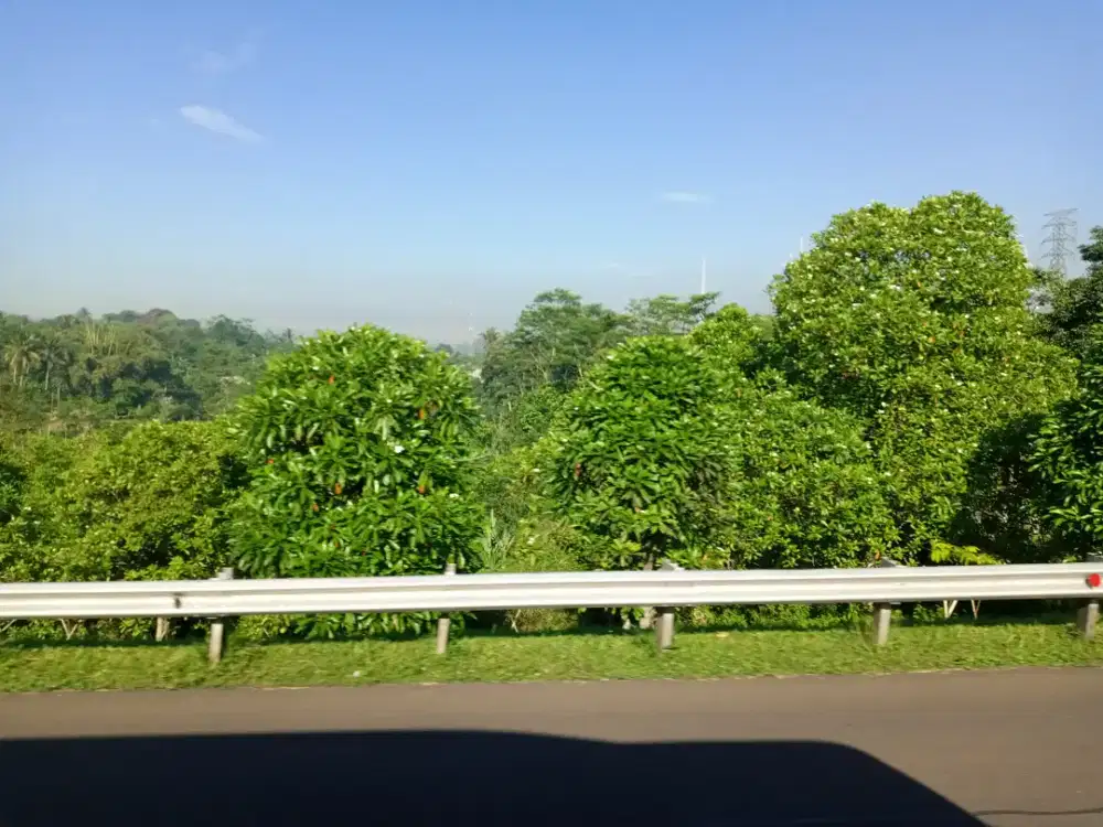 cari art yang bisa nginep