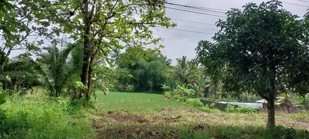 Dijual Tanah (Kebun dan Sawah diatasnya) di Tasikmalaya Desa Cisarumi