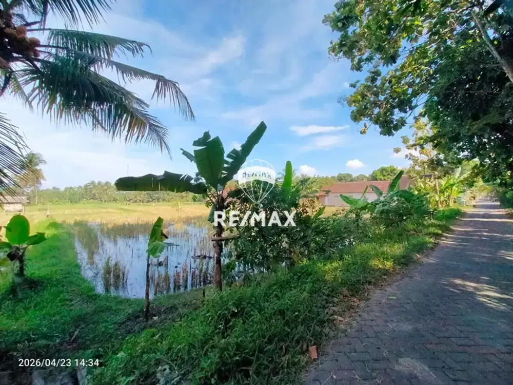 DIJUAL TANAH TEPI JALAN – VIEW SELAT BALI & SUNGAI | Ds.LALANGAN, REJOSARI-BANYUWANGI