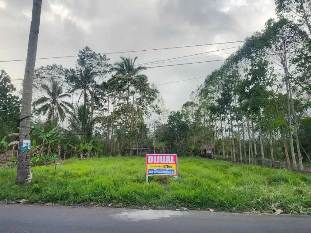 TANAH USAHA 570m² LELEKO REMBOKEN