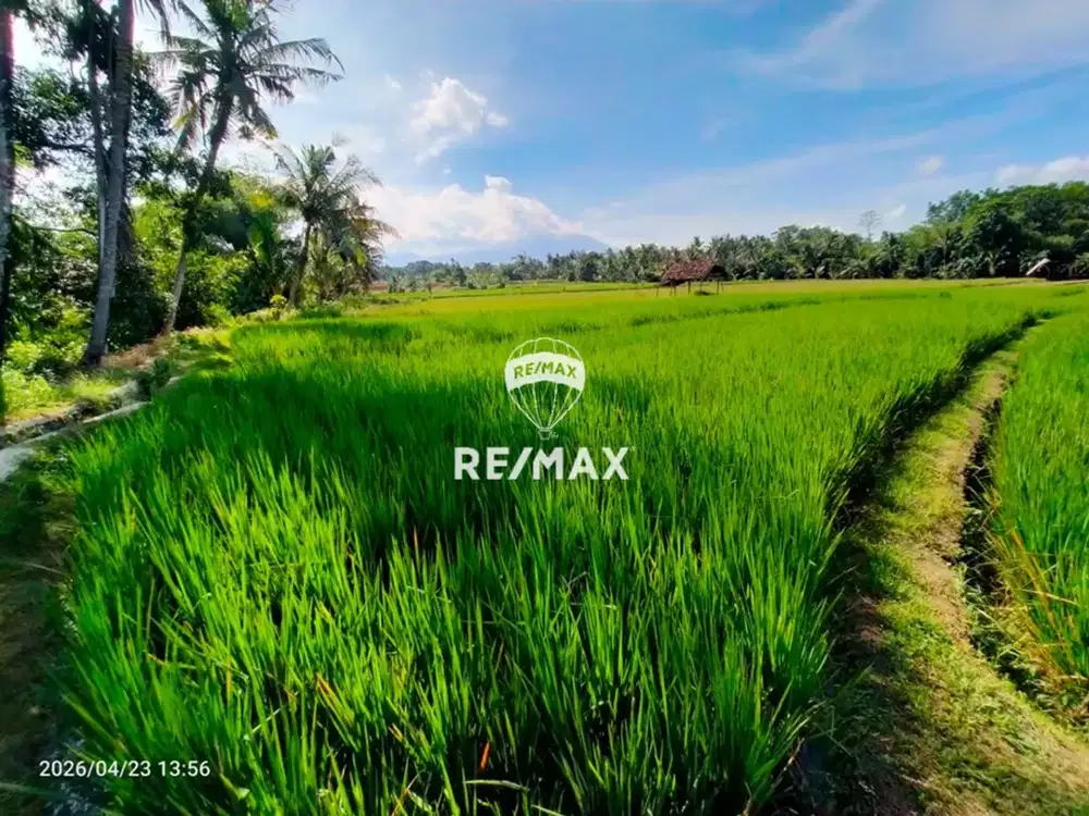 DIJUAL TANAH TEPI JALAN – VIEW GUNUNG & SUNGAI | GLAGAH-BANYUWANGI