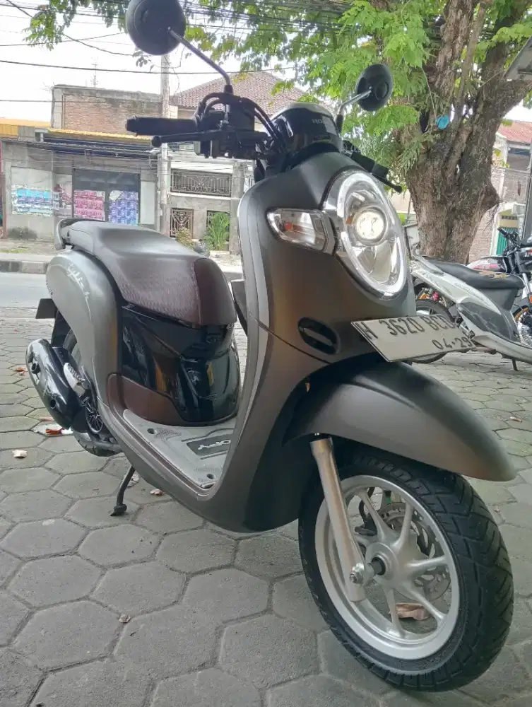 HONDA SCOOPY Stylish 2019