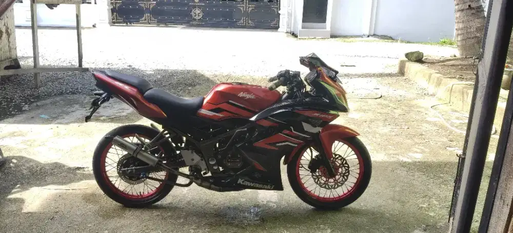 Kawasaki Ninja RR New 2015