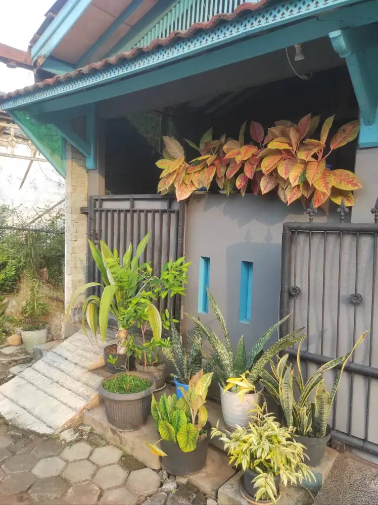 Disewakan Kost Nyaman