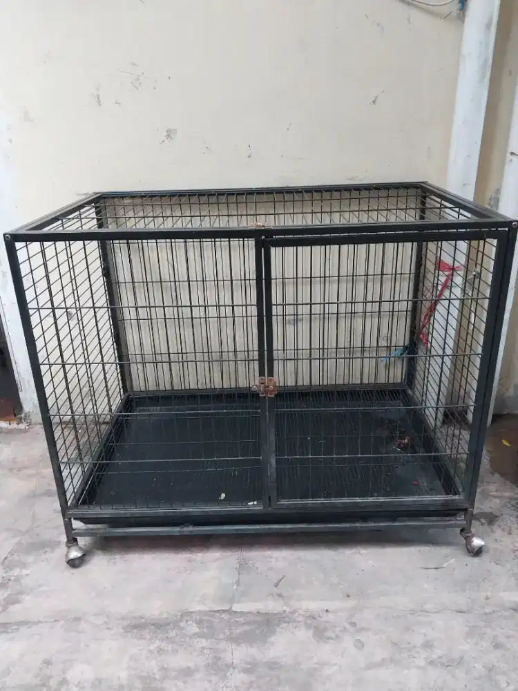 PRELOVED! Kandang Anjing Besi UK P110 x L 70cm x T 90cm ( AREA MEDAN )