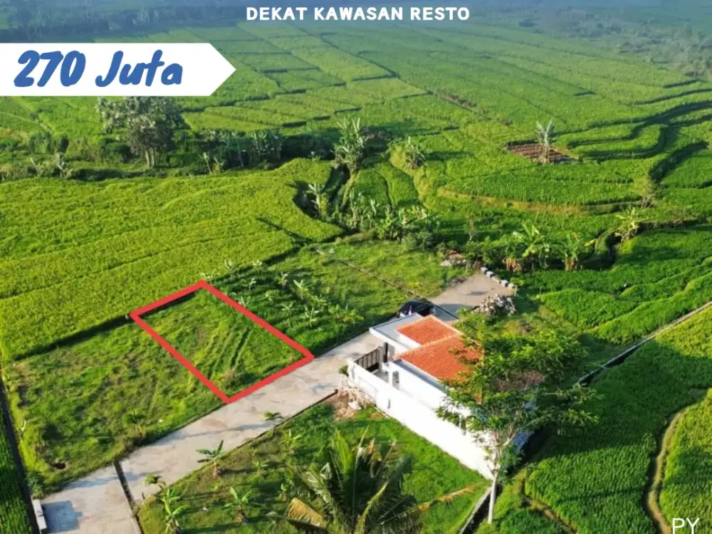DIJUAL TANAH KARANGPANDAN ISTIMEWA