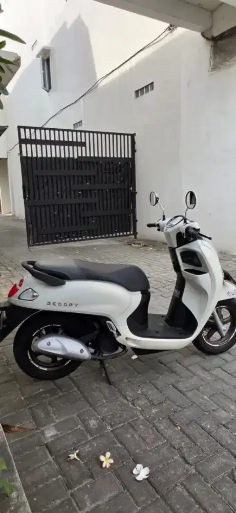 Scoopy all new tahun 2025