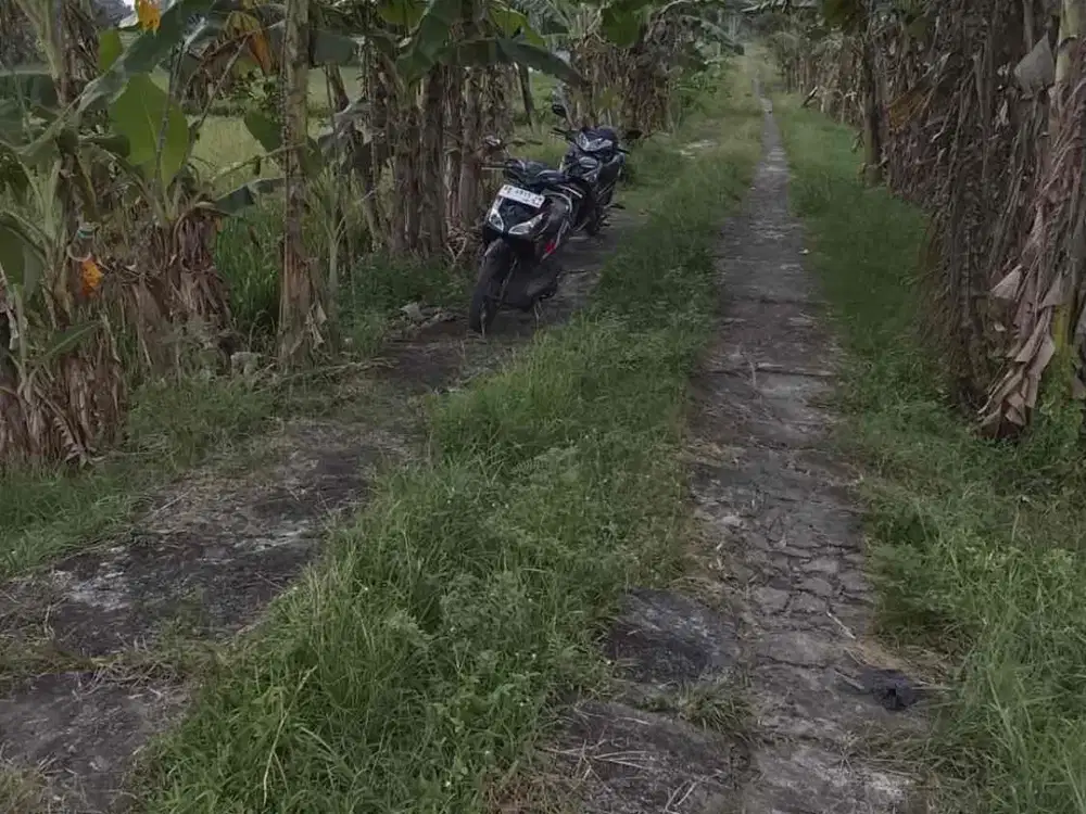 Dijual Tanah Sawah di Margokaton Seyegan