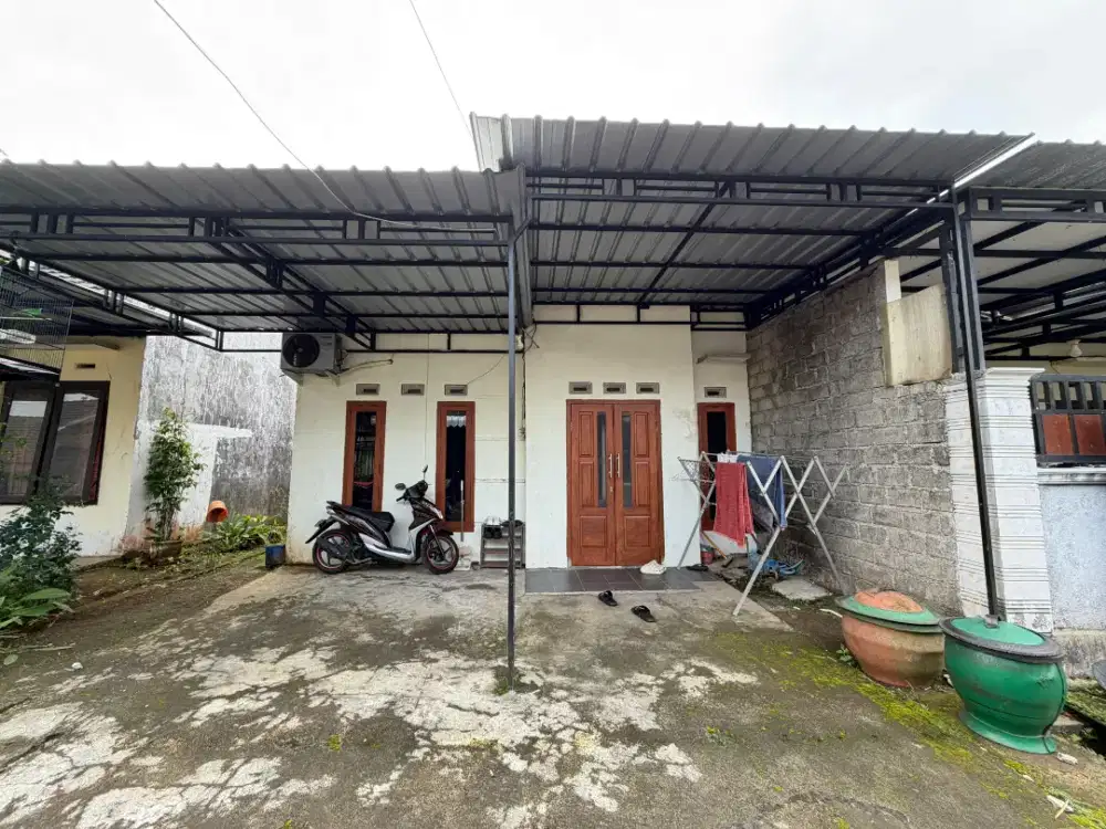 Pintu jati tua kupu tarung dan sedikit renov di dalam