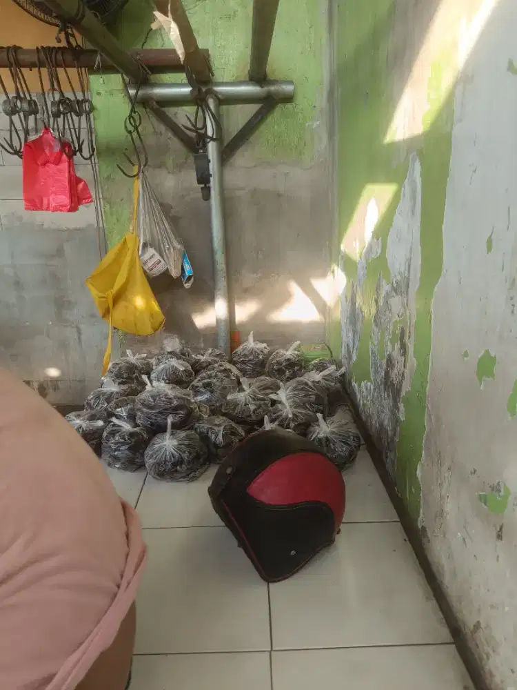 jual jengkol tua kulitan