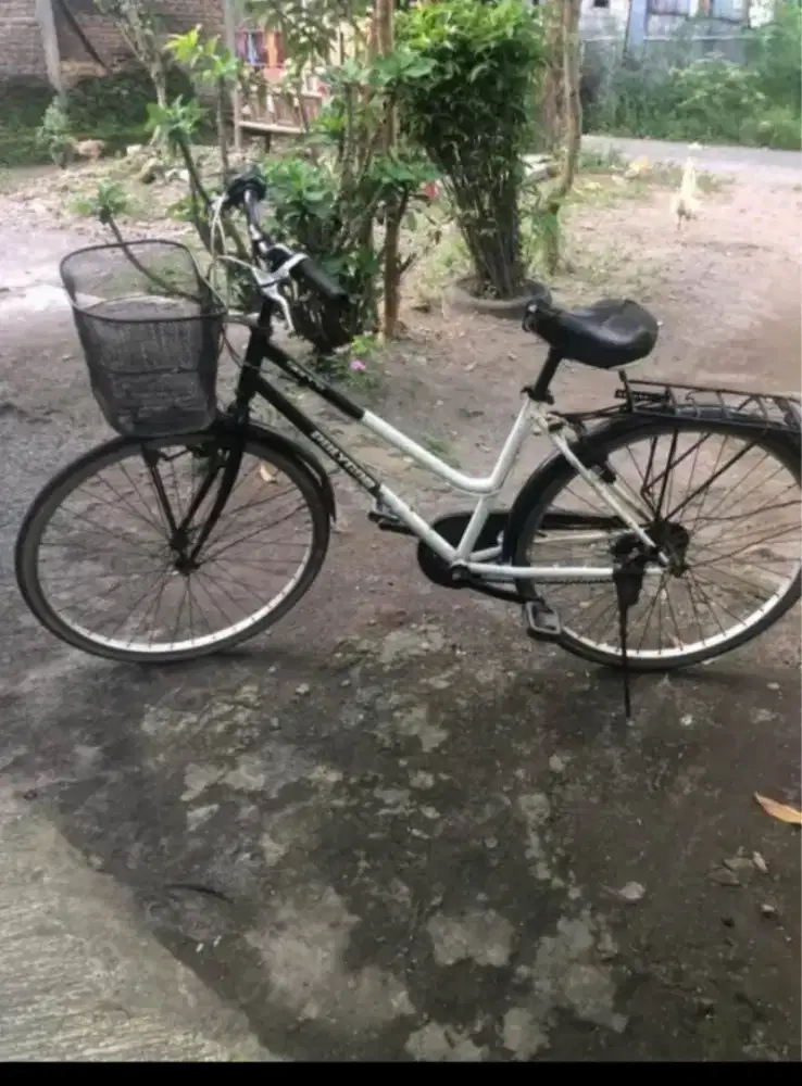 Sepeda Polygon Sierra