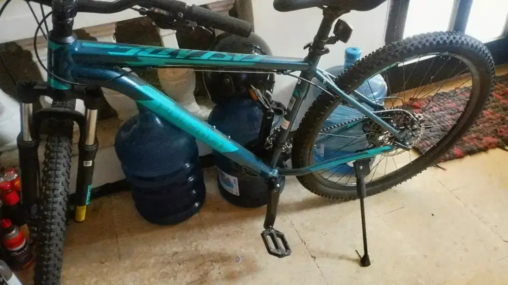 POLYGON CASCADE 4 (2021)