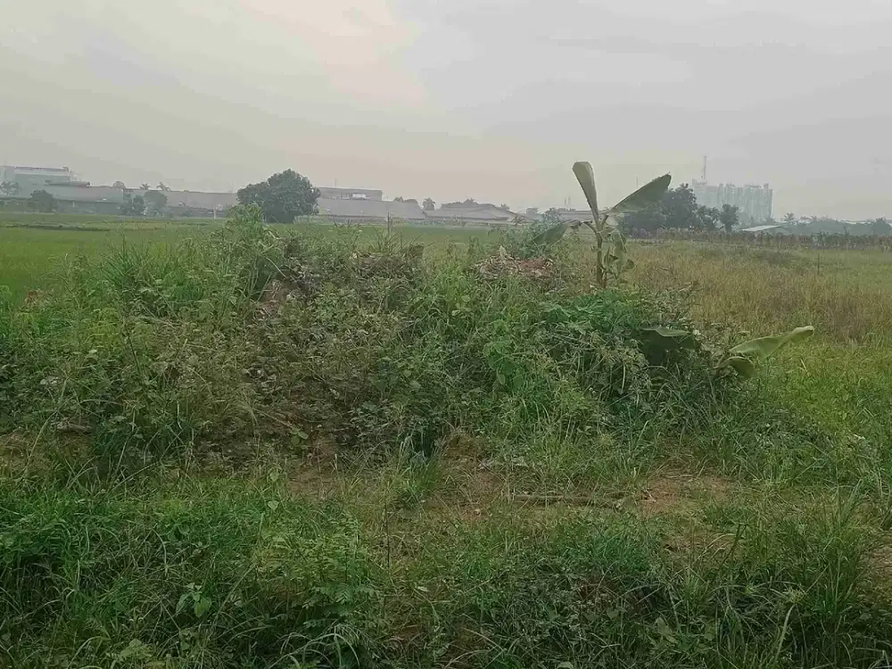 Tanah Cikande Serang