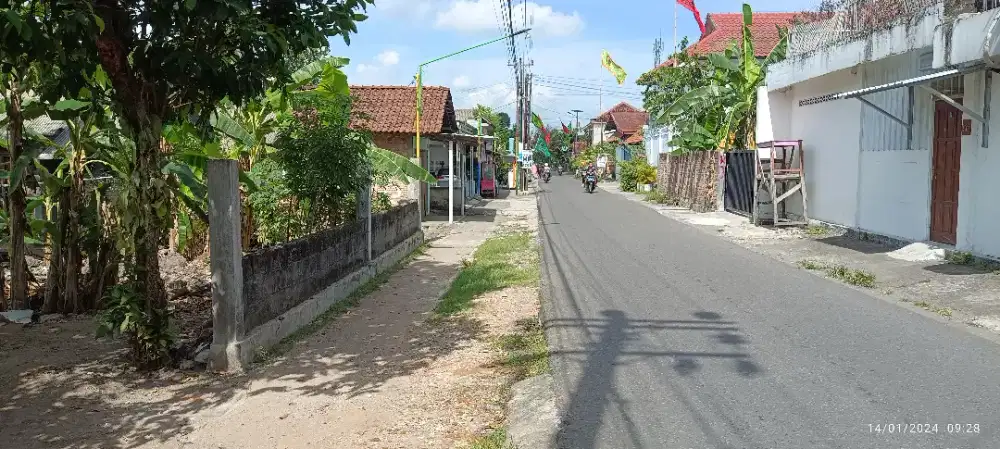 Tanah pekarangan kosong disewakan