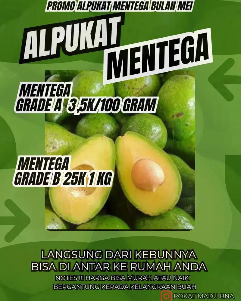 Alpukat mentega