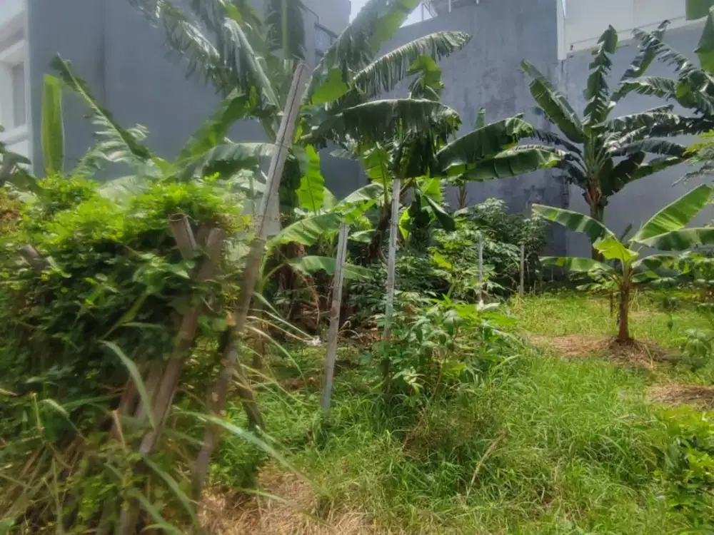 Dijual Cepat Kavling Marina Cove Di Ancol Barat, Jakarta