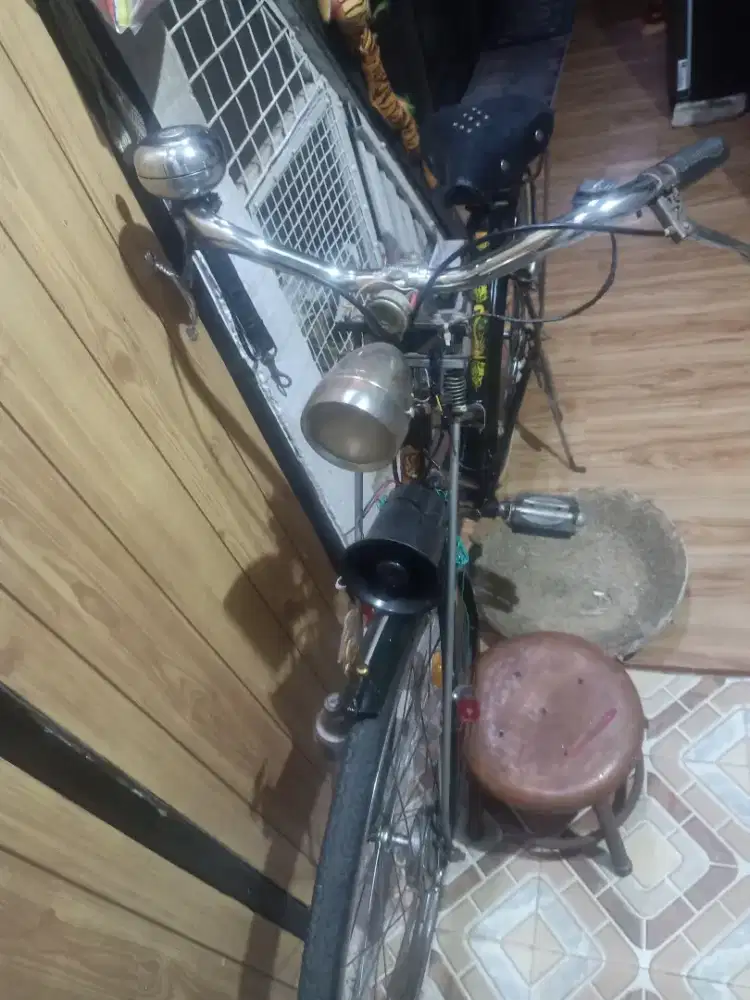 Sepeda jengki sewasa