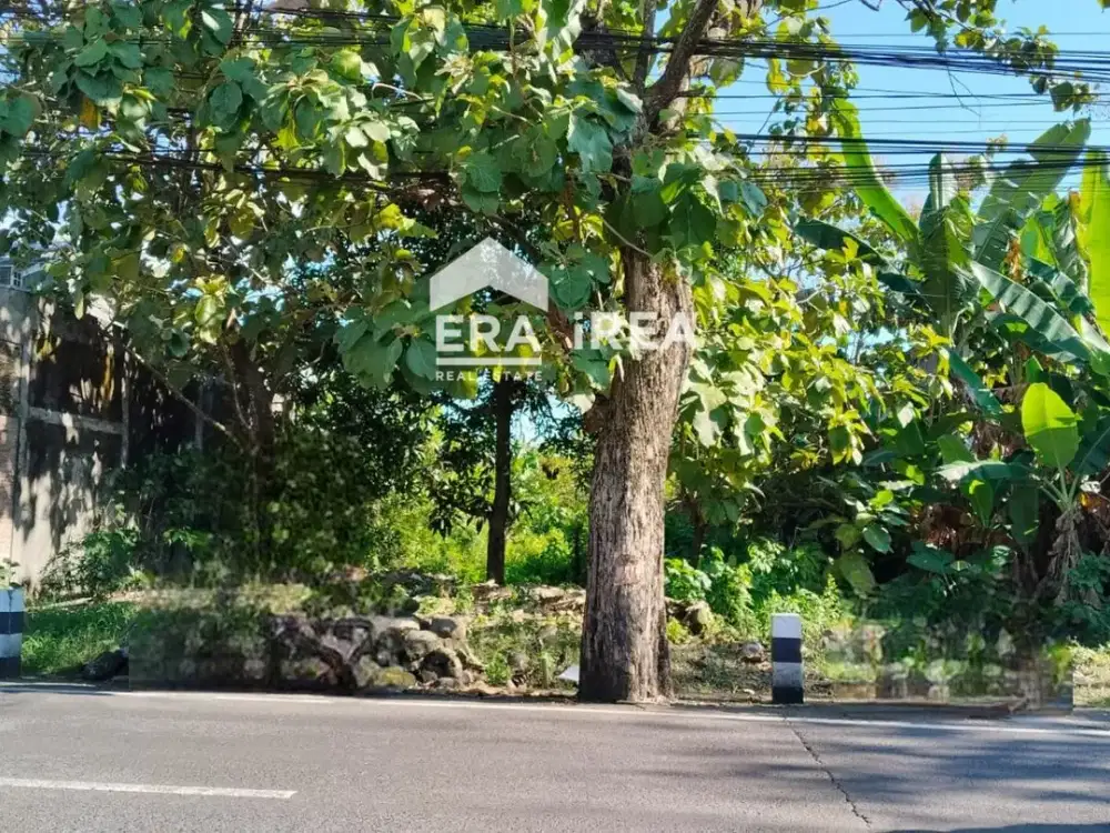 Tanah Dijual di Solo Dekat Kampus Kusuma Husada, Akper Patria Husada dan Taman Jayawijaya Mojosongo