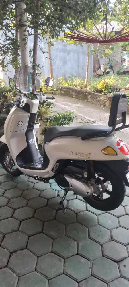 Honda Scoopy 2025
