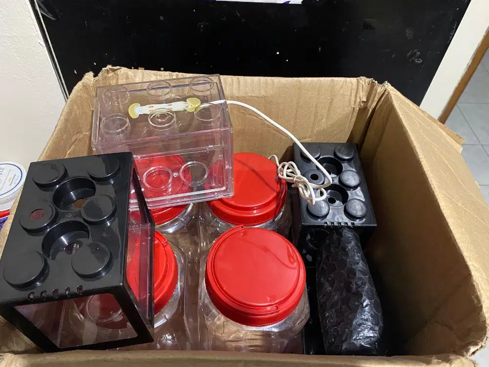 Aquarium mini dan Toples 2L borongan