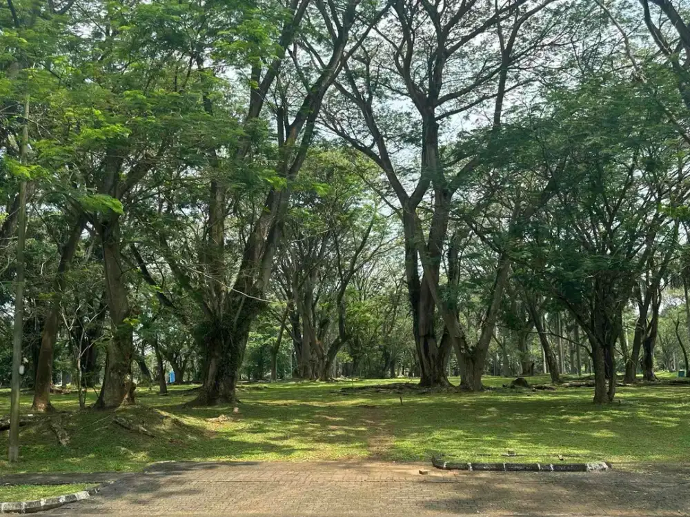 Premium Land BSD Golf View – 2.380 m² | Harga Terus Naik