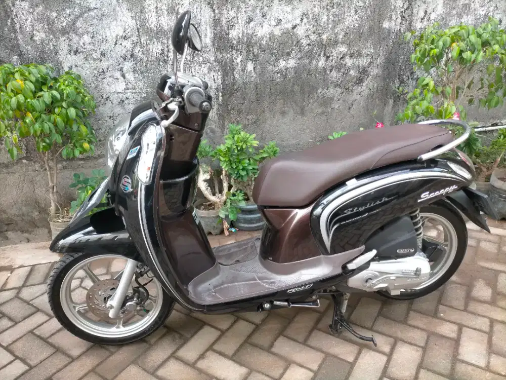 Scopy 2016 stylise iss