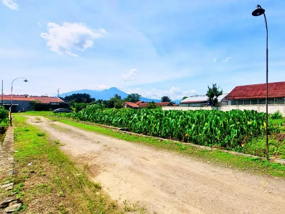 Kavling 2 Jt-an Dekat Kampus IPB, Cocok Buat Kost