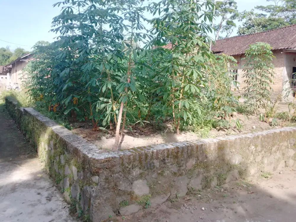 tanah murah dekat Pemda boyolali