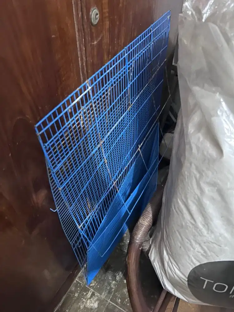 Dibuang sayang, kandang kelinci