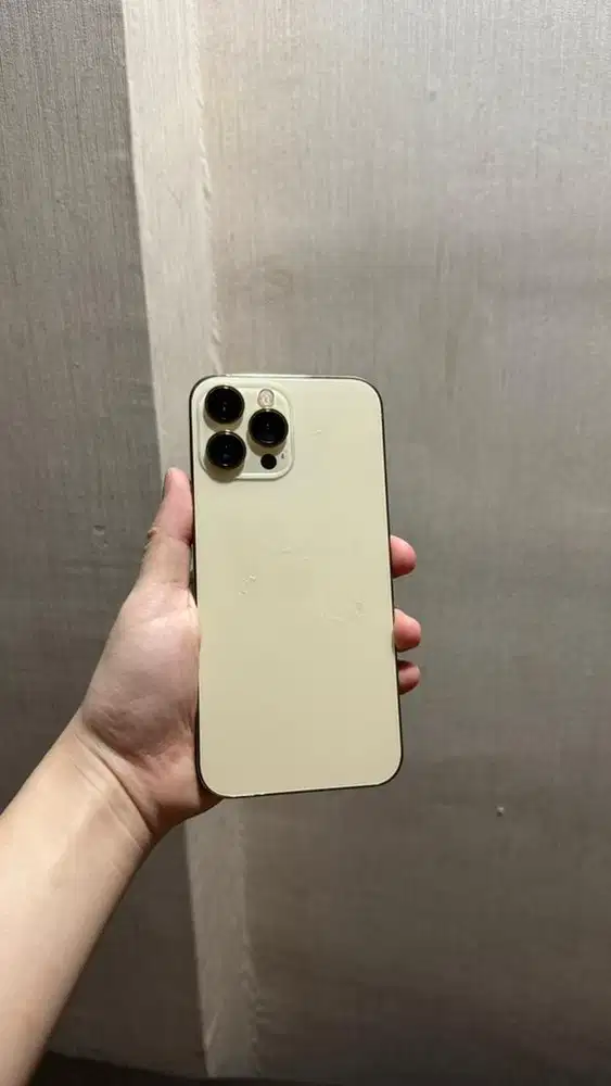 iphone 13 pro max 256 beacukai