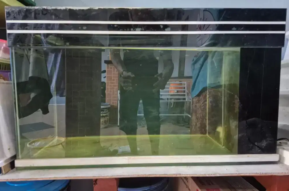Akuarium ikan kaca uk. 79x41x47