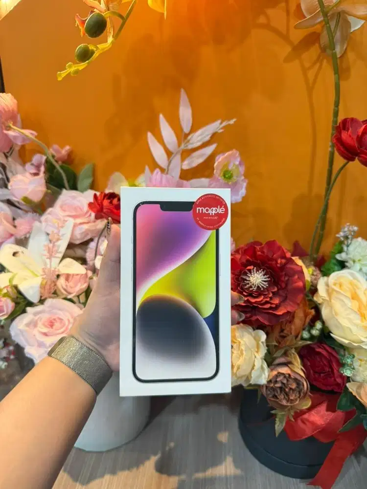 Ip 14 128 starlight new