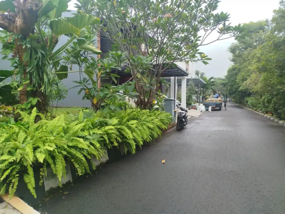 Dijual Kavling Langka Puri Botanical