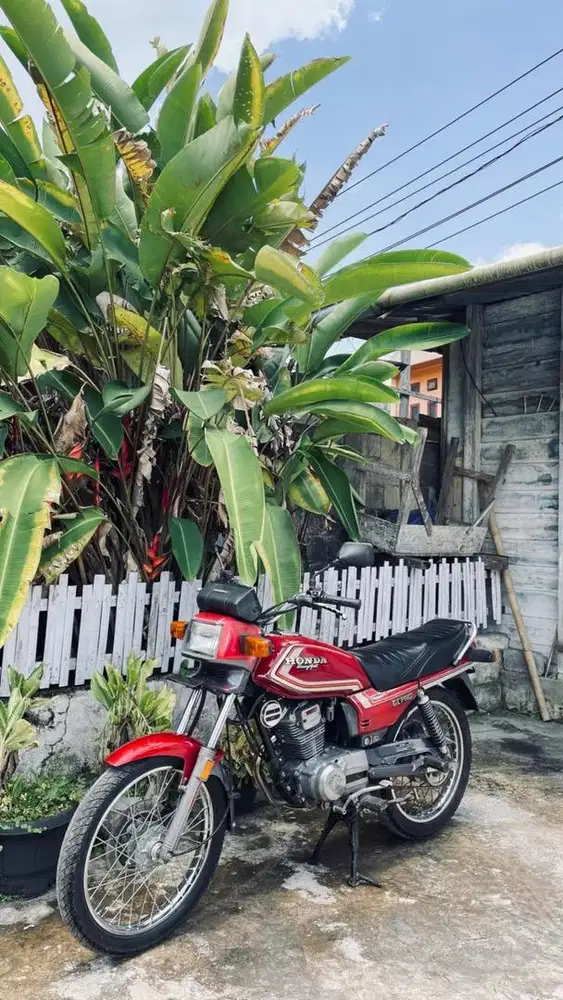 Honda GL PRO Gen 1 ( 1984 )