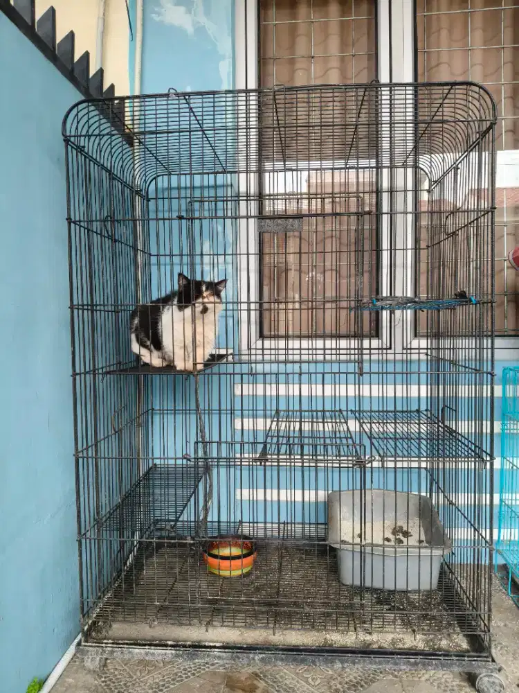 Kandang kucing merk Octagon Jumbo