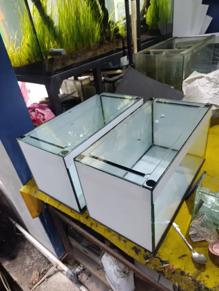 Dibutuhkan Helper / kenek