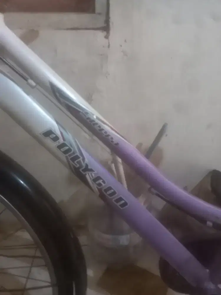 Sepeda polygon serra uk 26