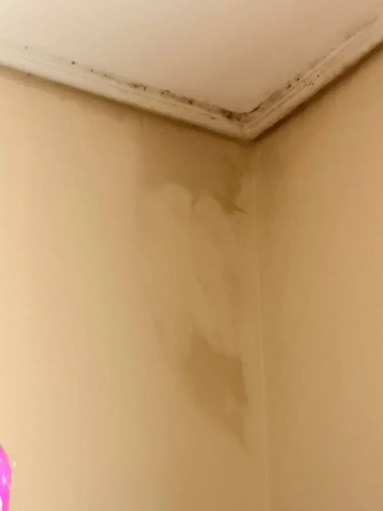 JASA ATAP BOCOR GANTI TALANG AIR TEMBOK AIR GANTI ATAP