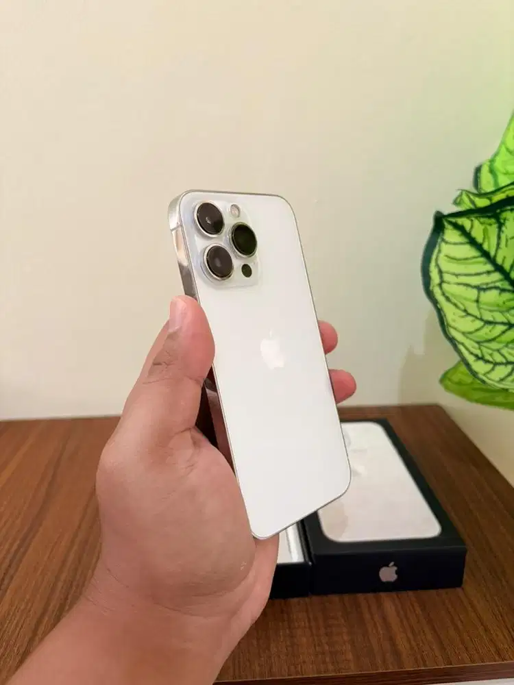 iPhone 13PRO 256GB INTER