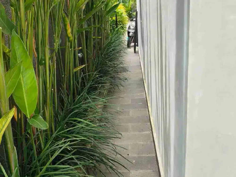 Di sewa Vila cantik 3 bedroom 3 lantai rooftop view Jungle di Ubud - Thumbnail 6
