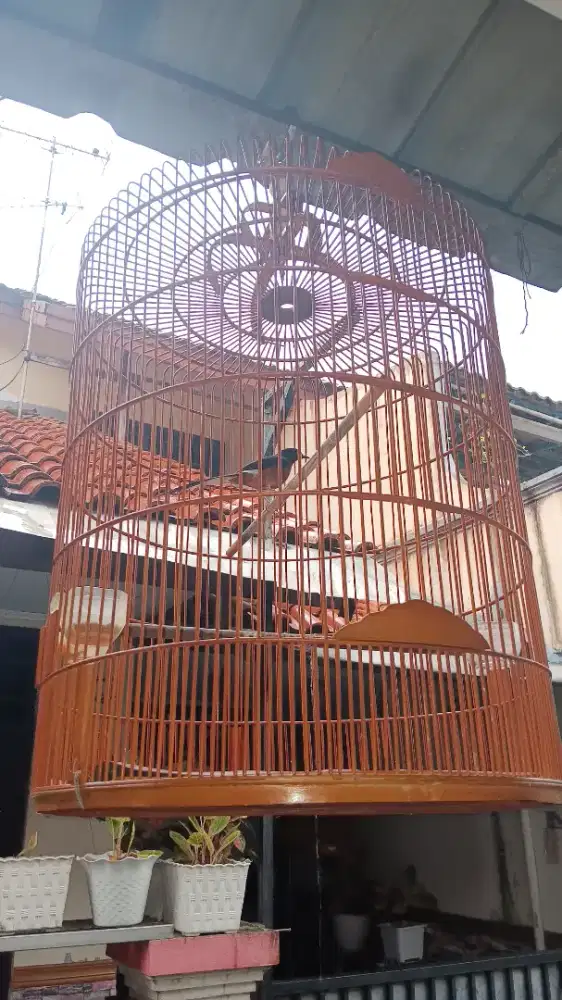 Sangkar murai no 2 ga ada tebok + keramba