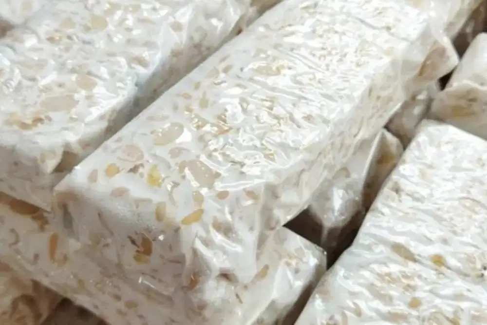 Dicari pekerja untuk produksi tempe