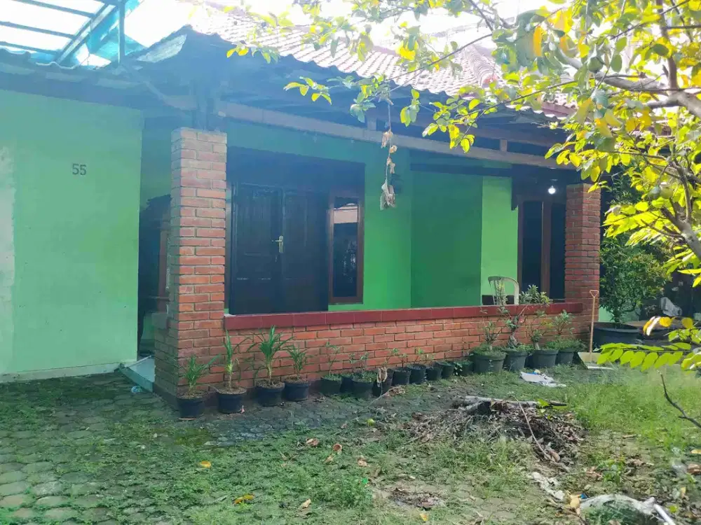 Dijual Murah Rumah halaman luas Bebas Banjir Jakarta Srengseng Kelapa Dua Kebon Jeruk Luas Tanah 245 M²