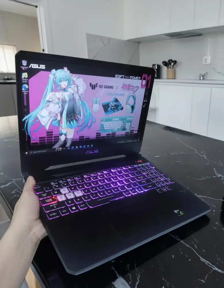 Laptop Gaming ASUS TUF FX505DD-317 [RAM 16GB/SSD 512GB]