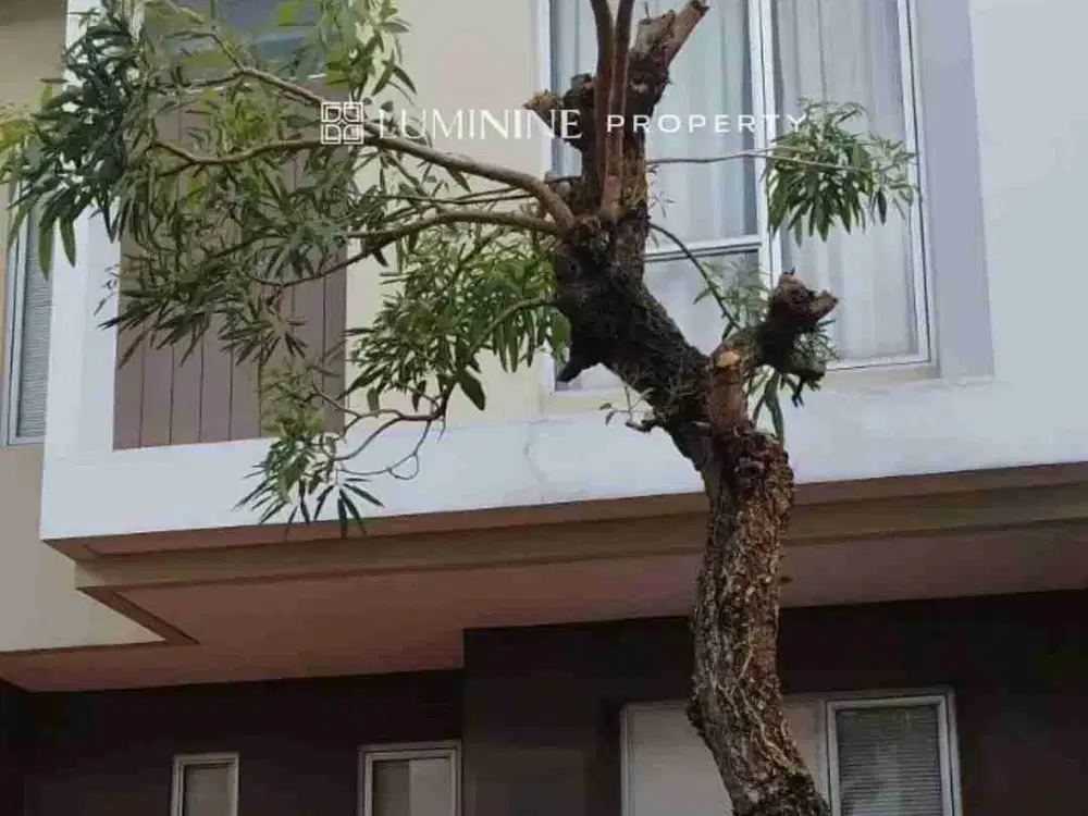 DISEWAKAN RUMAH MINIMALIS DI MALIBU VILLAGE, GARDING SREPONG