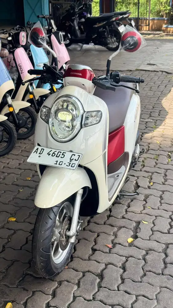 Scoopy Stylish 2020