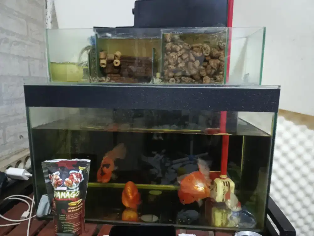 Aquarium full paketan + 4 ikan