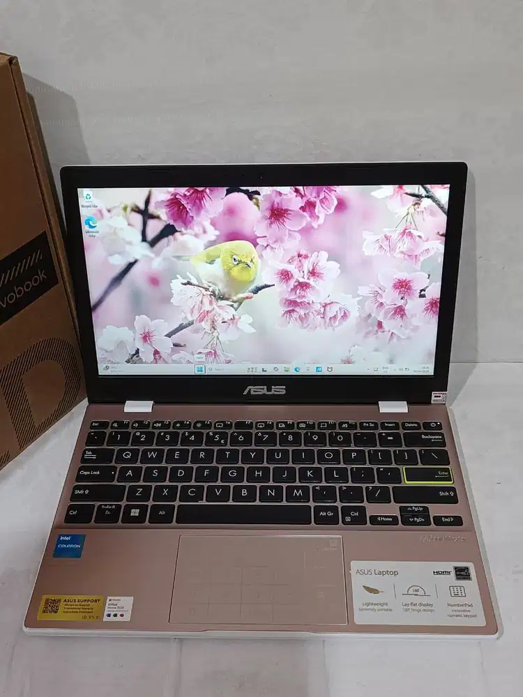 Laptop Asus pink!! Asus Vivobook E210KA N4500 Ram 8Gb SD 128Gb 12 inc