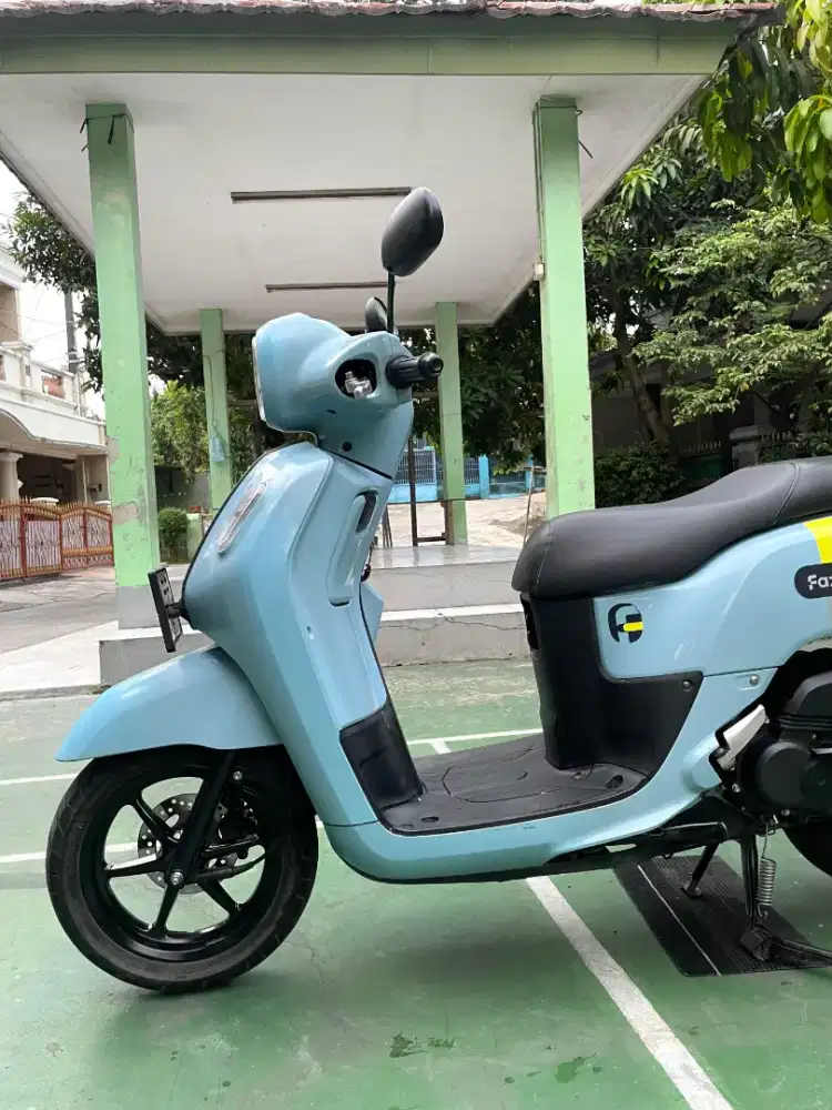 Fazzio Hybrid 2023